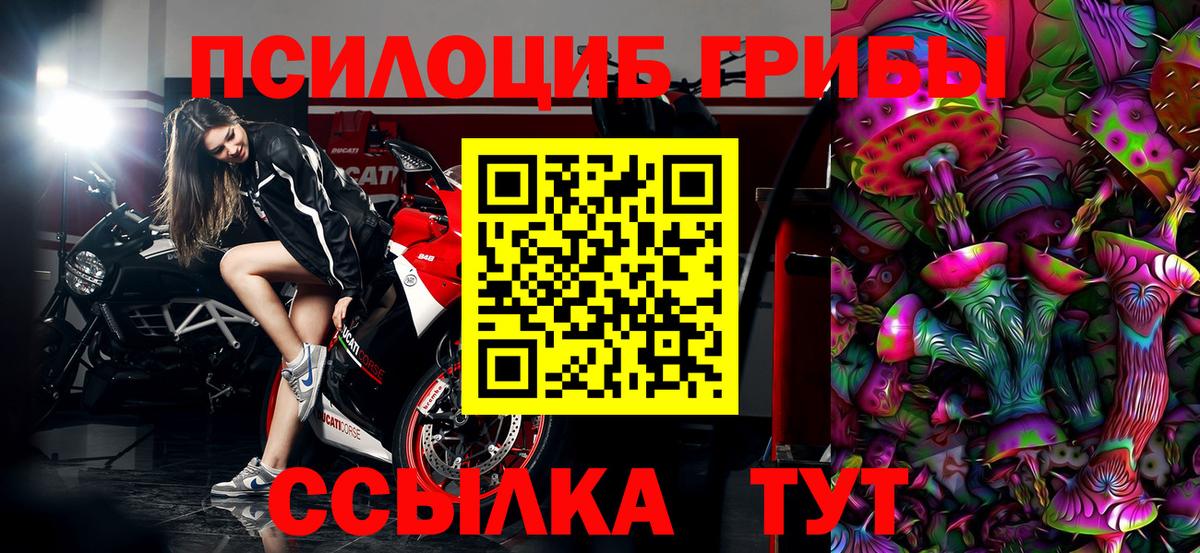 Галлюциногенные грибы прущие грибы  Вход с VPN  Дивногорск 