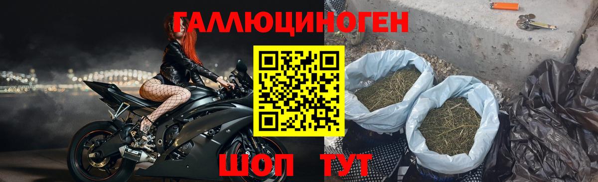 Псилоцибиновые грибы Magic Shrooms Дивногорск